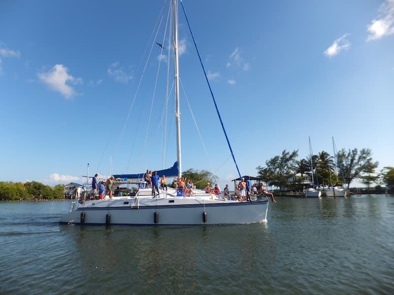 Spirit of Free Radical catamaran aerial view